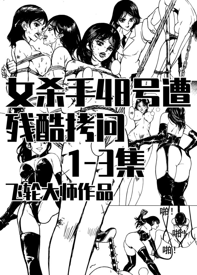 女杀手48号遭遇残酷拷问1-3集（完结）预览图